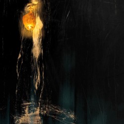 Sounds in the night